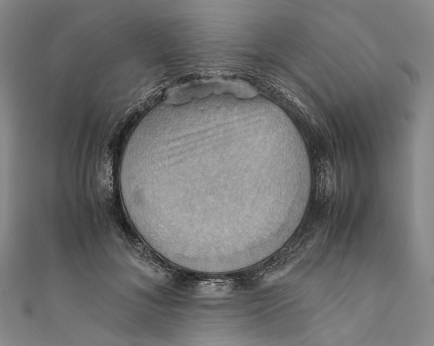 X0000110970700200907101349