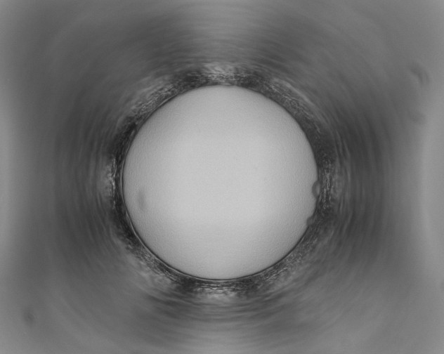 X0000110970702200907101349