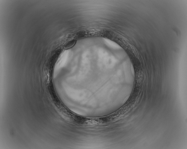 X0000110970703200907101349