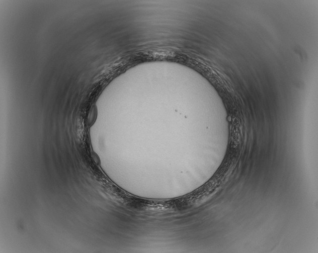 X0000110970704200907101349