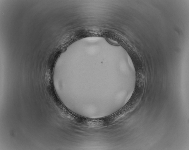 X0000110970707200907101349