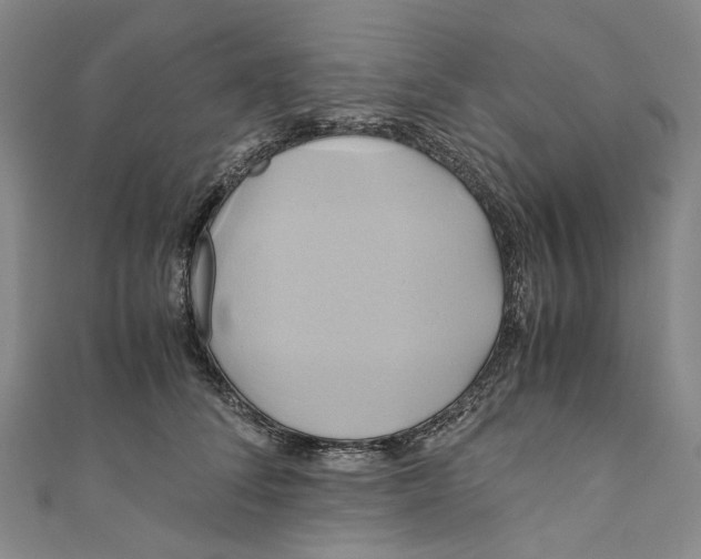 X0000110970708200907101349