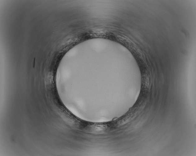 X0000110970711200907101349