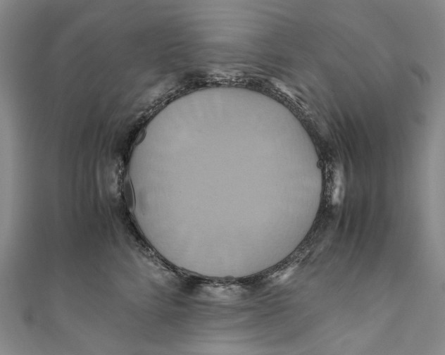 X0000110970712200907101349