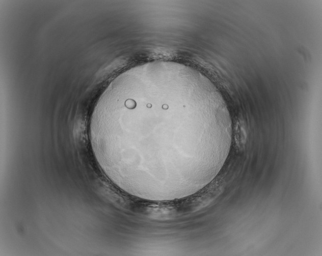 X0000110970714200907101349