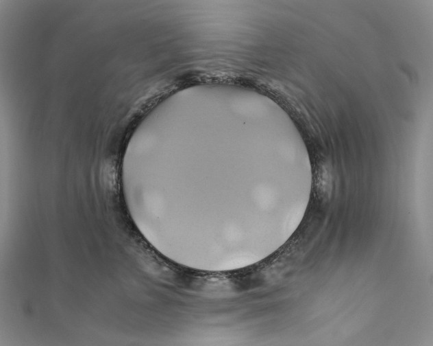 X0000110970715200907101349