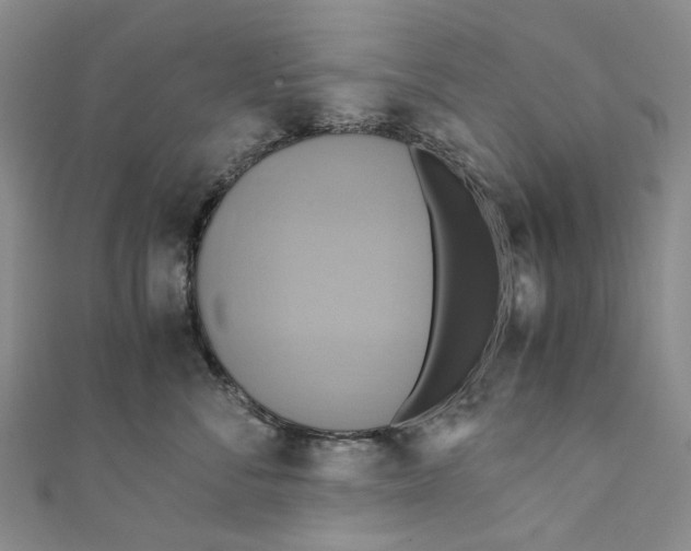 X0000110970716200907101349