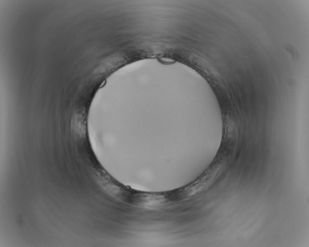 X0000110970719200907101349