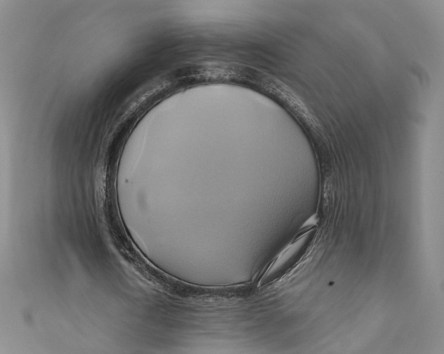 X0000110970722200907101348