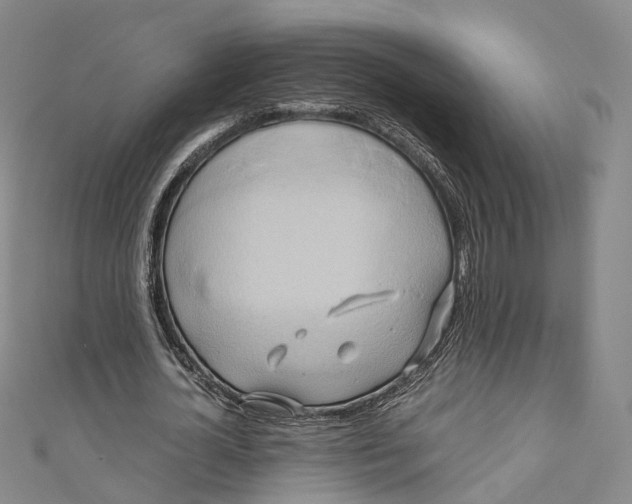 X0000110970724200907101348