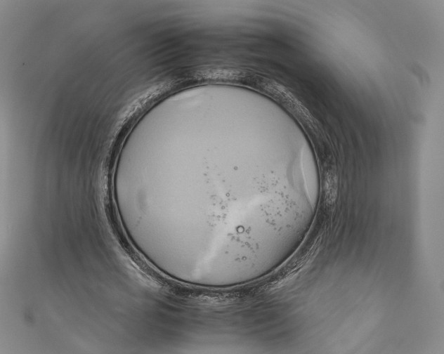 X0000110970725200907101348