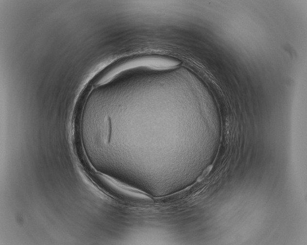 X0000110970726200907101348