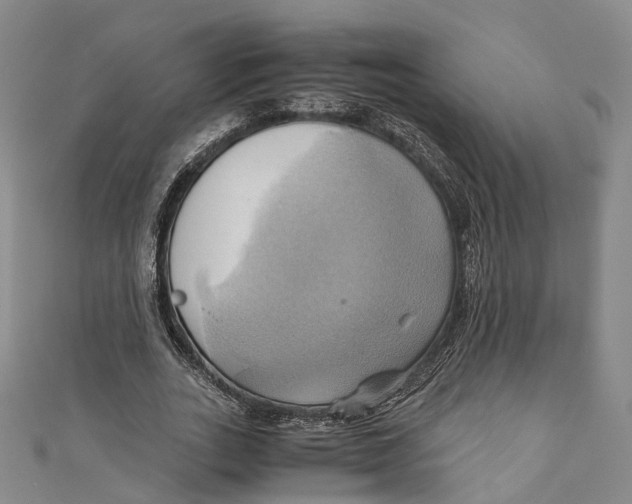 X0000110970727200907101348