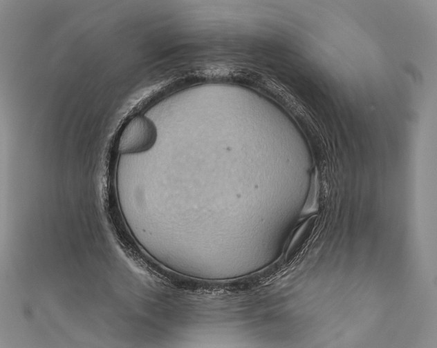 X0000110970728200907101348