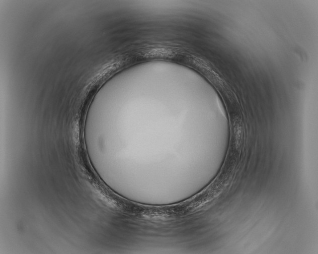 X0000110970729200907101348