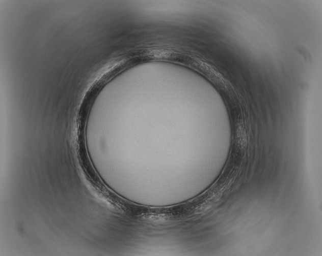 X0000110970730200907101348