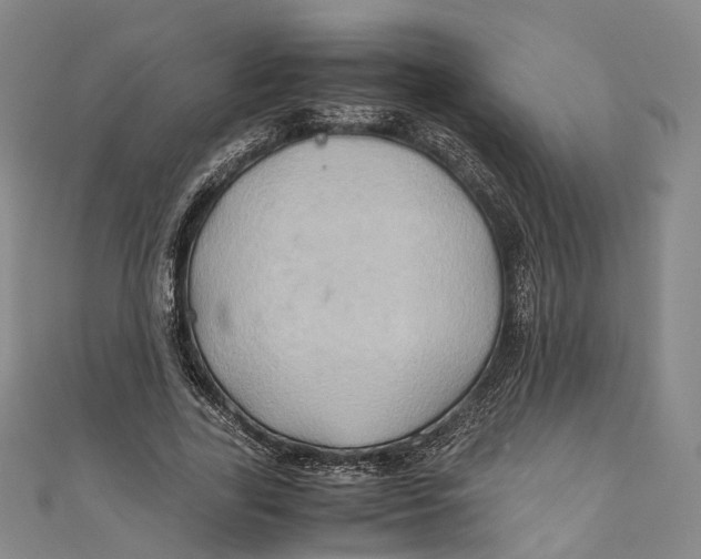 X0000110970731200907101348