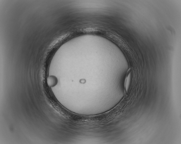 X0000110970732200907101348