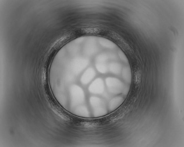 X0000110970733200907101348