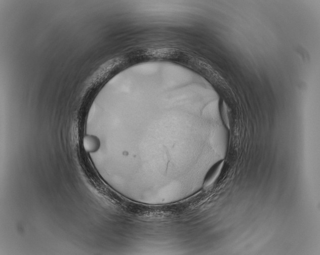 X0000110970734200907101348