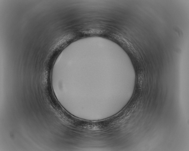 X0000110970735200907101348