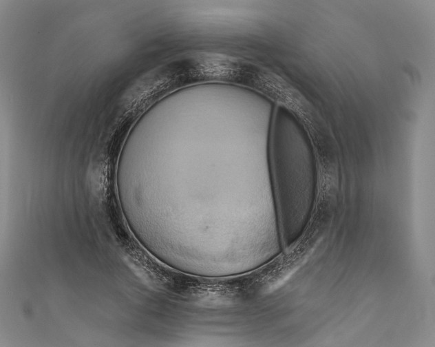 X0000110970736200907101348