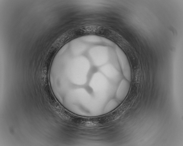 X0000110970737200907101348