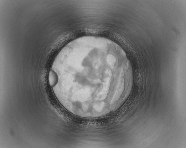 X0000110970738200907101348