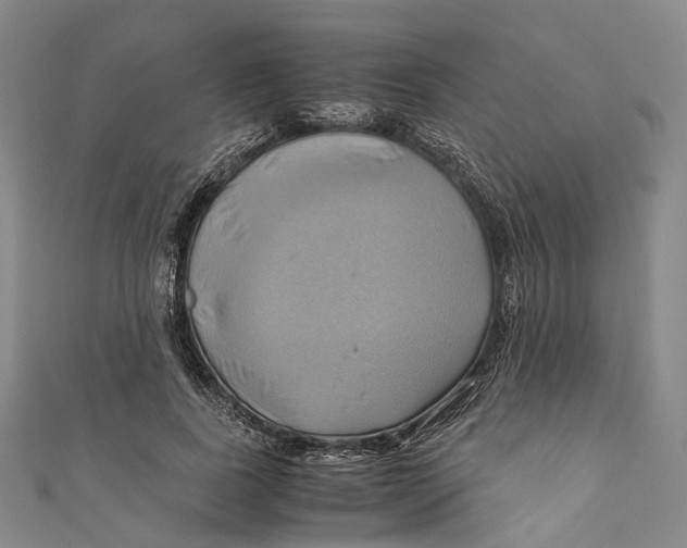 X0000110970739200907101348