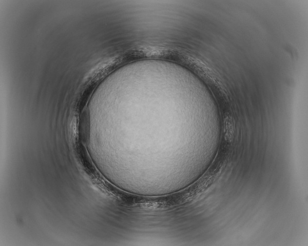 X0000110970740200907101348