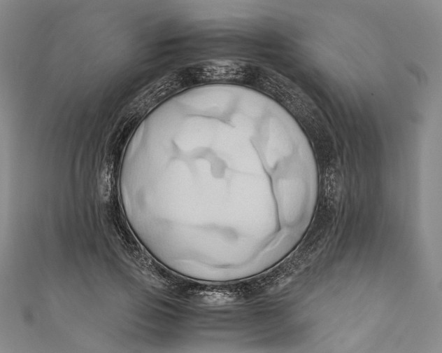 X0000110970741200907101348