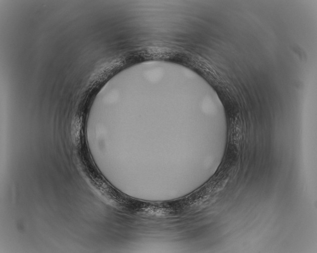 X0000110970742200907101348