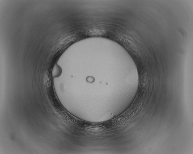 X0000110970743200907101348