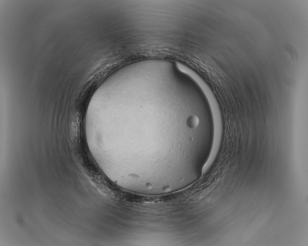 X0000110970744200907101348