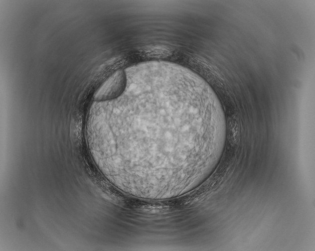 X0000110970745200907101348