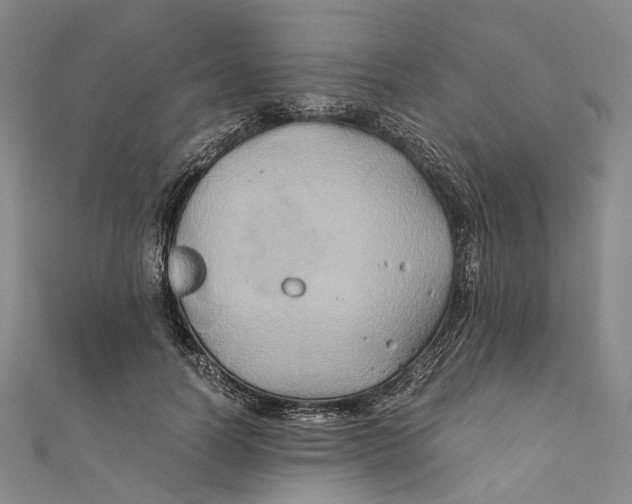 X0000110970746200907101348