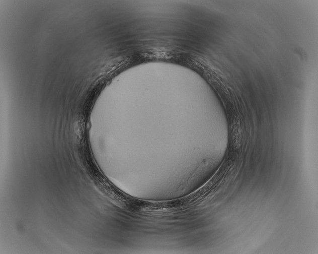 X0000110970747200907101348