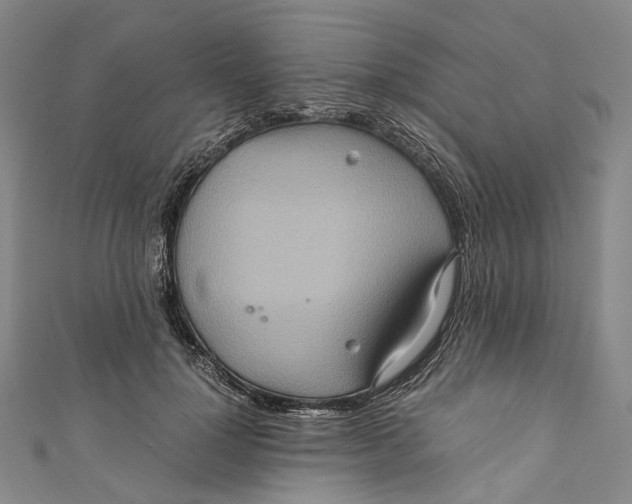 X0000110970748200907101348