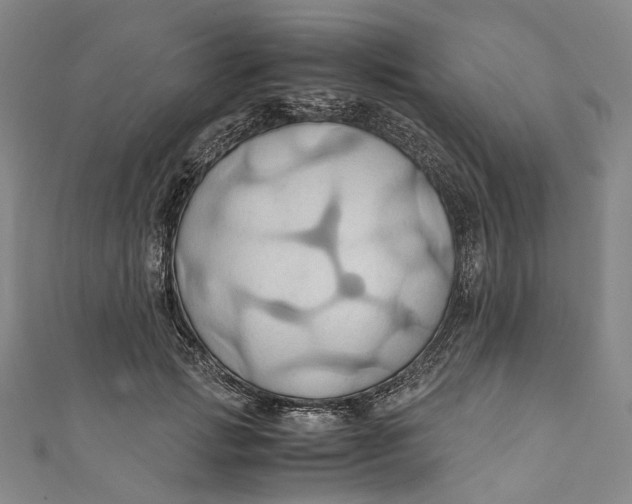 X0000110970749200907101348