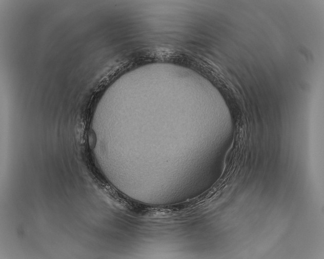 X0000110970750200907101348