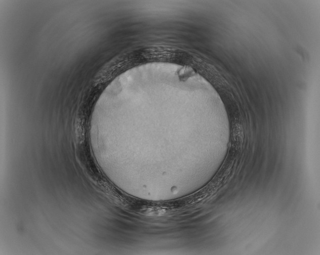 X0000110970751200907101348