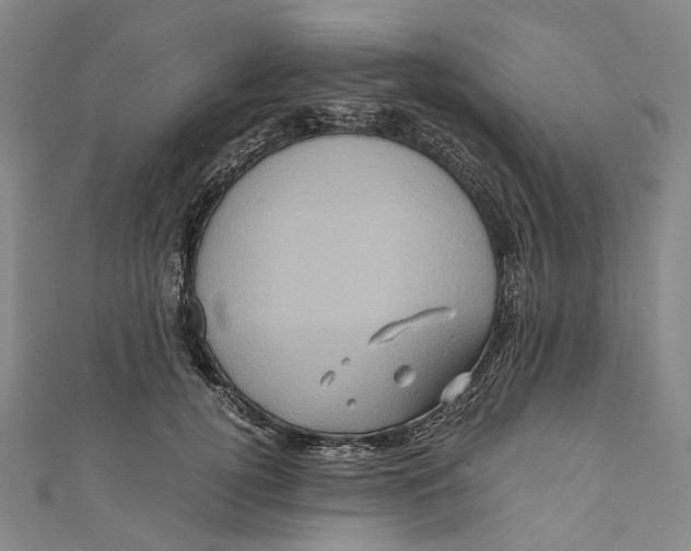 X0000110970752200907101348