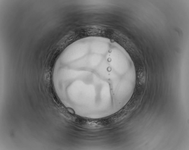 X0000110970753200907101348