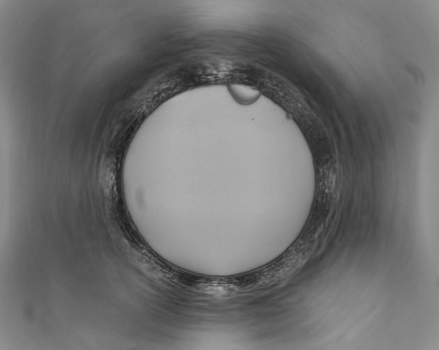 X0000110970754200907101348