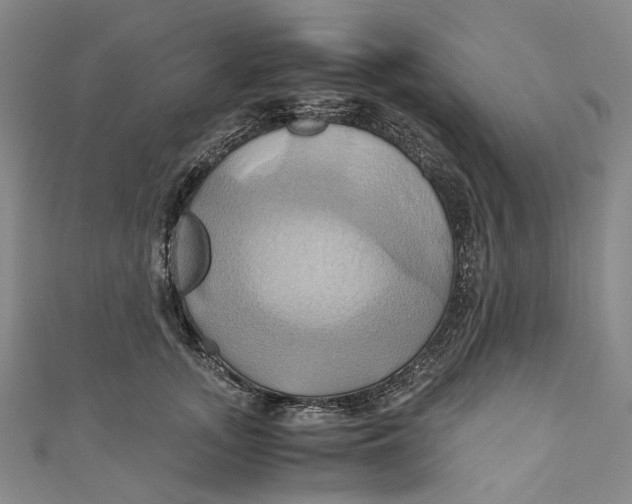 X0000110970755200907101348