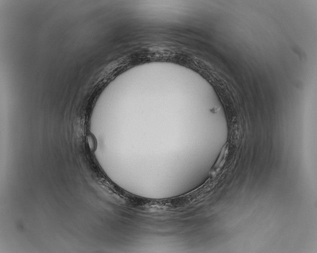 X0000110970756200907101348