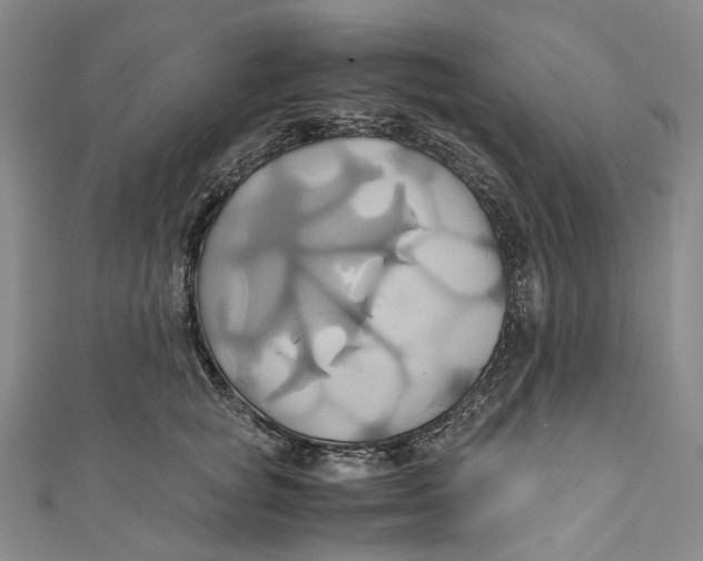 X0000110970757200907101348