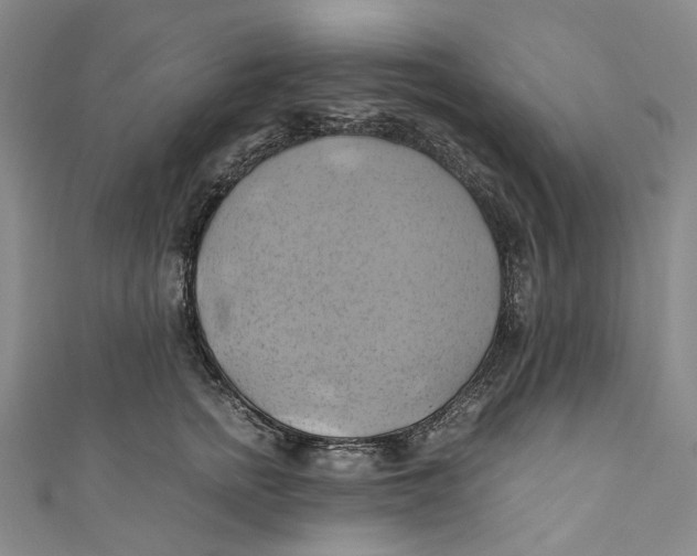 X0000110970758200907101348