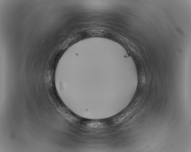 X0000110970759200907101348