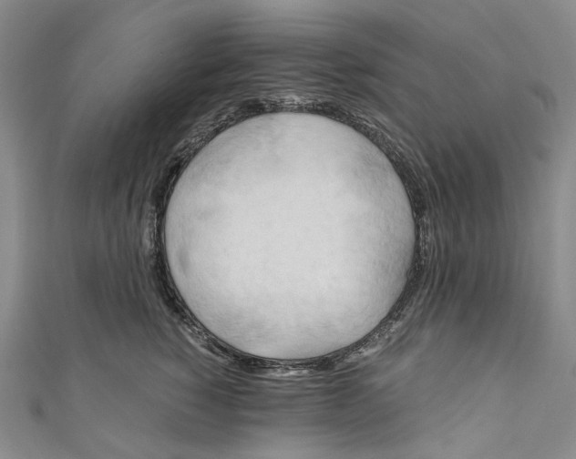 X0000110970760200907101348